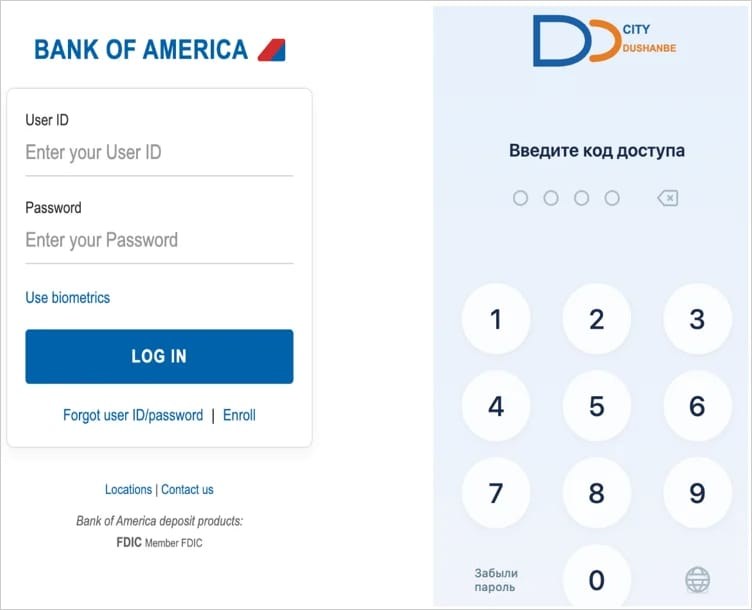 Password- and PIN-stealing overlays